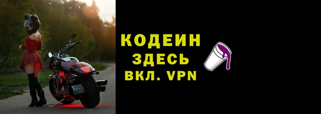 гашик Балахна