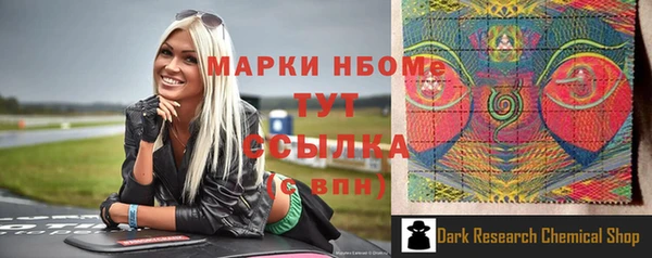 индика Баксан