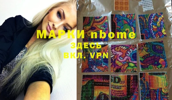 индика Баксан
