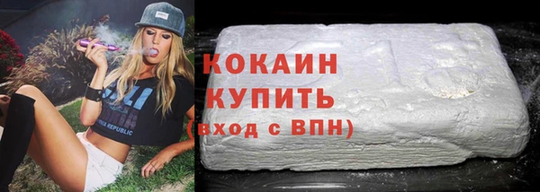 индика Баксан