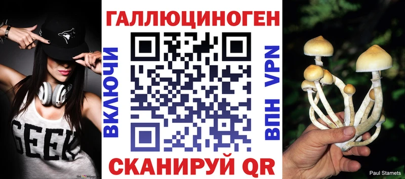 Галлюциногенные грибы MAGIC MUSHROOMS  shop как зайти  Онега  магазин продажи  